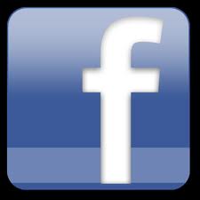 Facebook's Lifestage